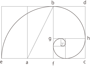 対数螺旋（ベルヌーイの螺旋）の描き方　イラストレーター篇